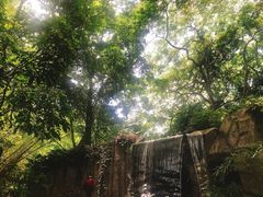-青青世界
