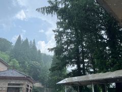 -莫干山风景区