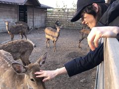 -安德鲁户外烧烤帐篷营地(马泉营店)