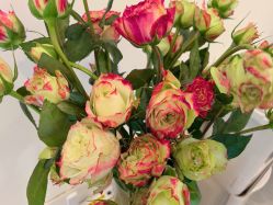 -FUMEIHUI·科技美肤·美体SPA