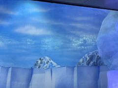 -海合安成都极地海洋公园