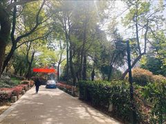 -北极阁公园