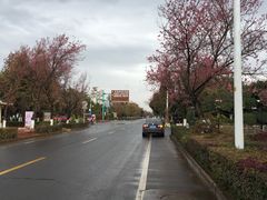 -呈贡滇池生态湿地公园