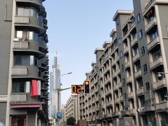 -紫峰大厦