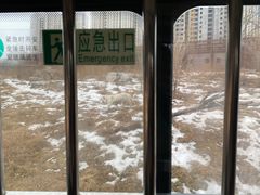 -太原动物园
