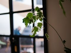 -一尺花园(安和花园店)