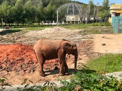 -哈尔滨北方森林动物园