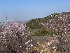 -唐指山风景区