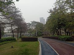 -文华公园(禅城区)