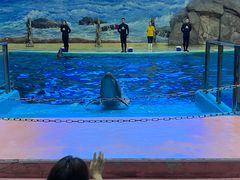 -福州罗源湾海洋世界旅游区