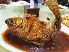 挣蹦鲤鱼-奥华餐厅·老张记(台基厂店)