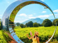 -帐篷客·溪龙茶谷度假酒店