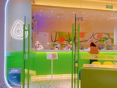 -油梨树AVOCADO TREE(嘉里中心店)