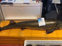 -国家会议中心大酒店