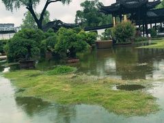-盆景园(扬州大运河文化旅游度假区)