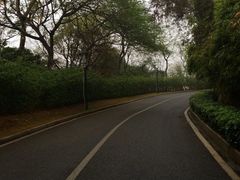 -仙岳公园