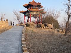-白水寺森林公园