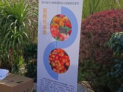 -元大都城垣遗址公园