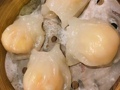 虾饺-捷信牛奶甜品世家(五道口店)