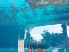 -亚特兰蒂斯水世界冒险乐园