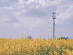 -三圣花乡旅游区