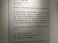 -辰熙ACX星海艺术中心