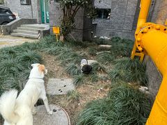 -外婆烧.老杭帮菜(庆春店)