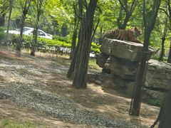 -秦皇岛野生动物园