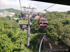-圣淘沙天际线斜坡滑车