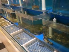 -中心君度酒店泰礴美食会馆