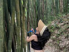 -凤栖山