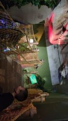 -恐龙探索乐园(磁器口店)