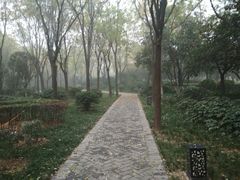 -唐城墙遗址公园
