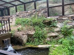 -Local泰莲庭(虹鳟鱼店)