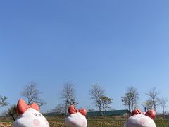 -天适樱花悠乐园