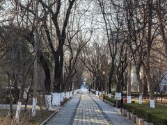 -山东大学(趵突泉校区)