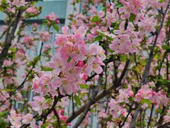 -杭州师范大学(下沙校区)