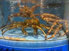 -city'super超·生活(国金中心商场店)