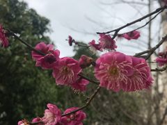 -潜口民宅博物馆