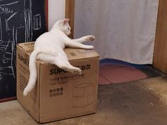 -正南齐北·老街糯米团(洪崖洞店)