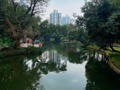 -晓港公园