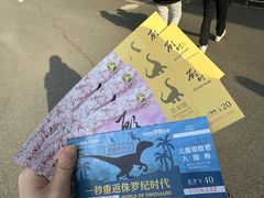 -自然谷恐龙园
