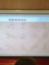 -北京安琪