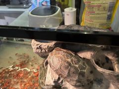 -粉墨私人影院•无人自助(维多利亚店)