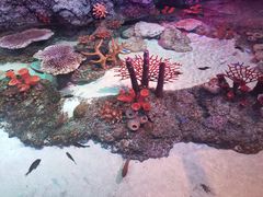 -沈阳海洋探索中心