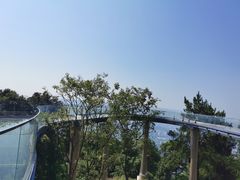 -缙云山景区