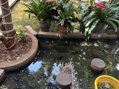 -海韵人家.海景花园经典云南菜(双廊店)