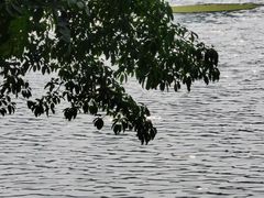 -重庆彩云湖湿地公园