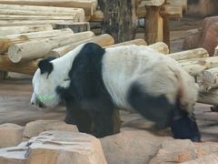 -秦皇岛野生动物园
