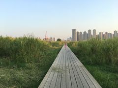 -汉江湾体育公园